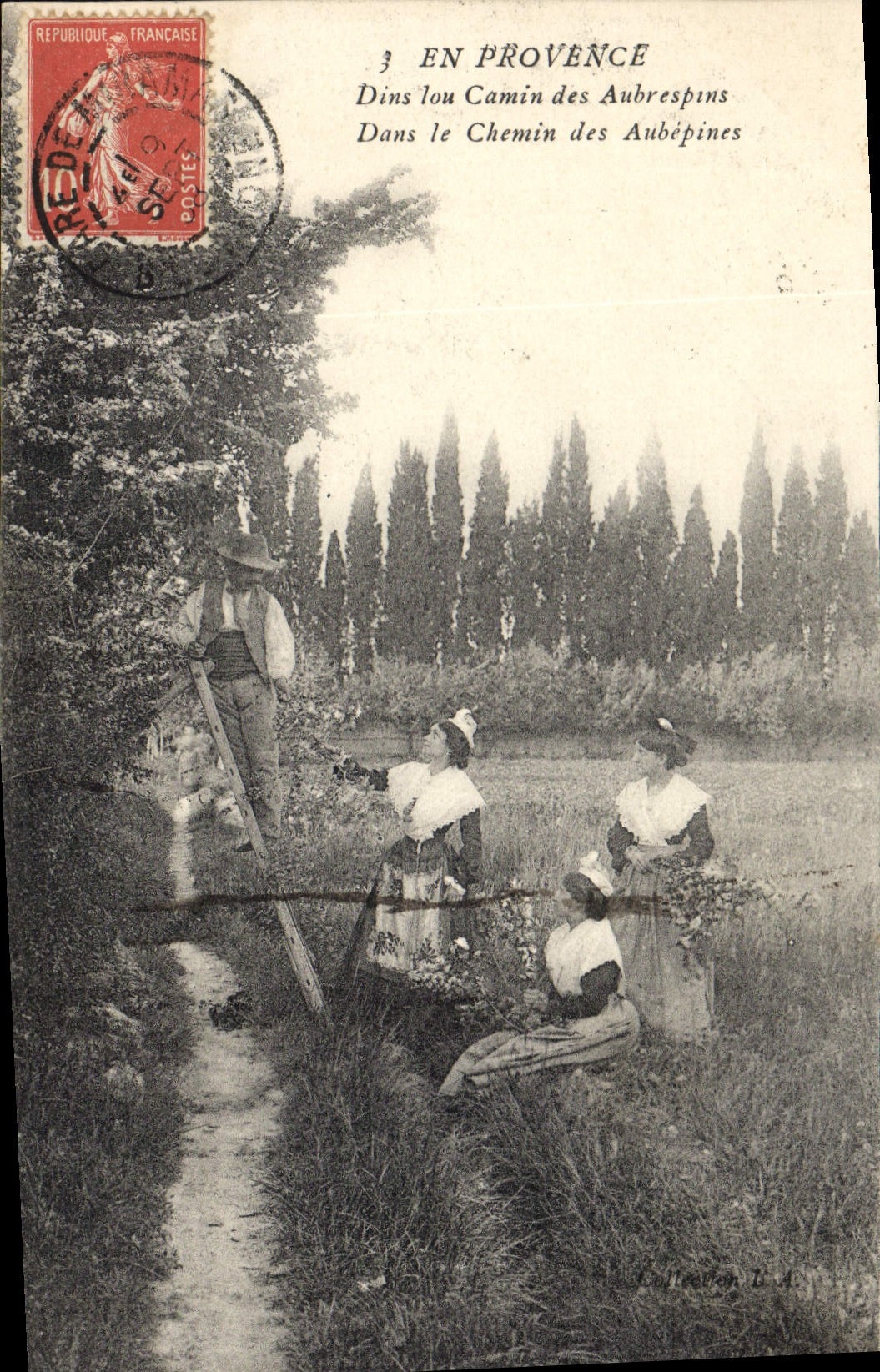 CPA En Provence Dans le chemin des aubépines