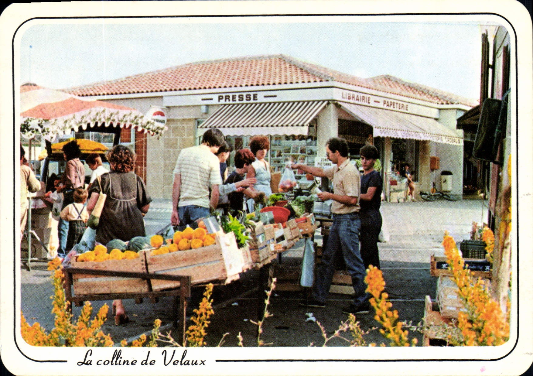 CPSM La Colline De Velaux Jour De Marché