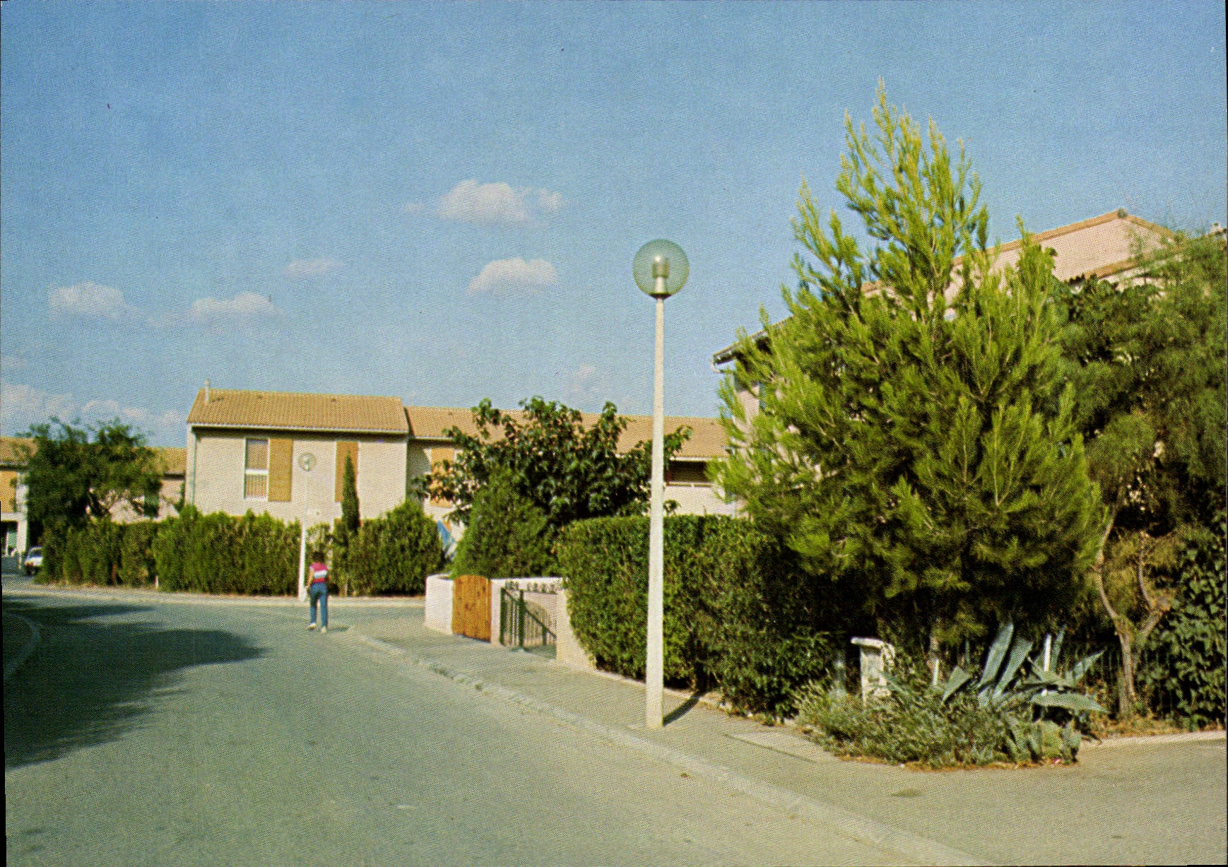 CPSM Entressen Les Aubargues