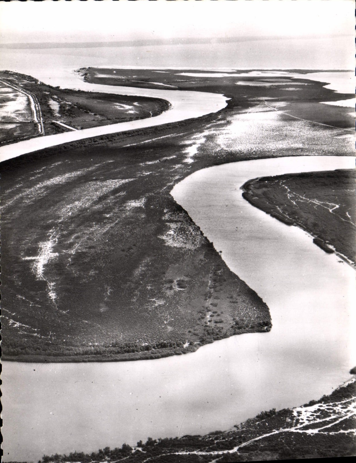 CPSM Salin De Giraud Du Grand Rhone