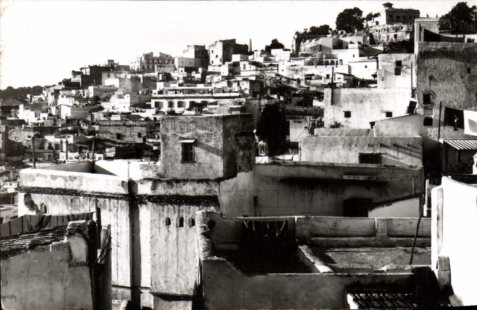 CPA Alger Vue Generale De La Kasbah
