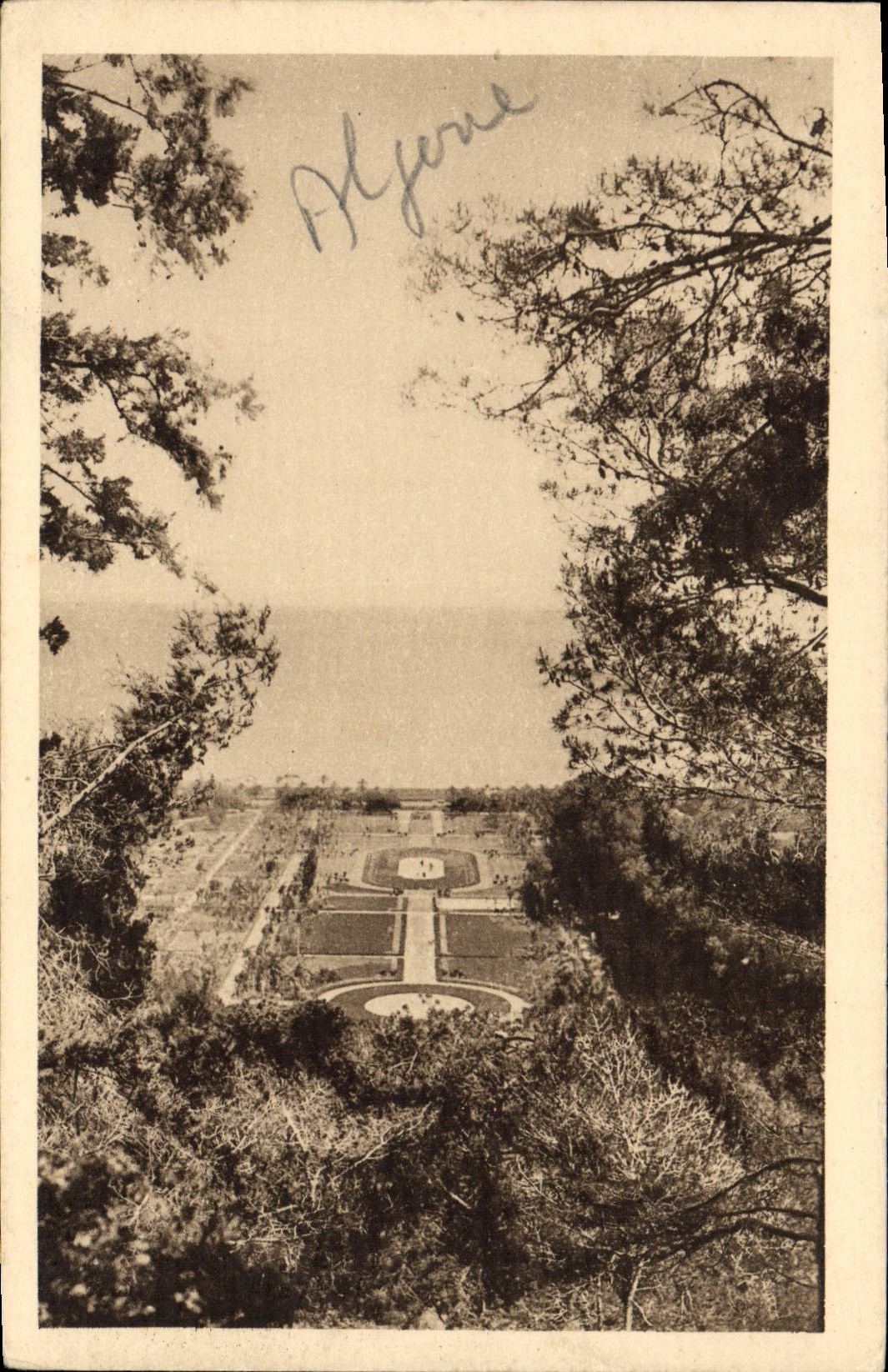 CPA Alger Terre Accueillante Aux Sites Inoubliables 1930 jardin d'essai le grand parterre