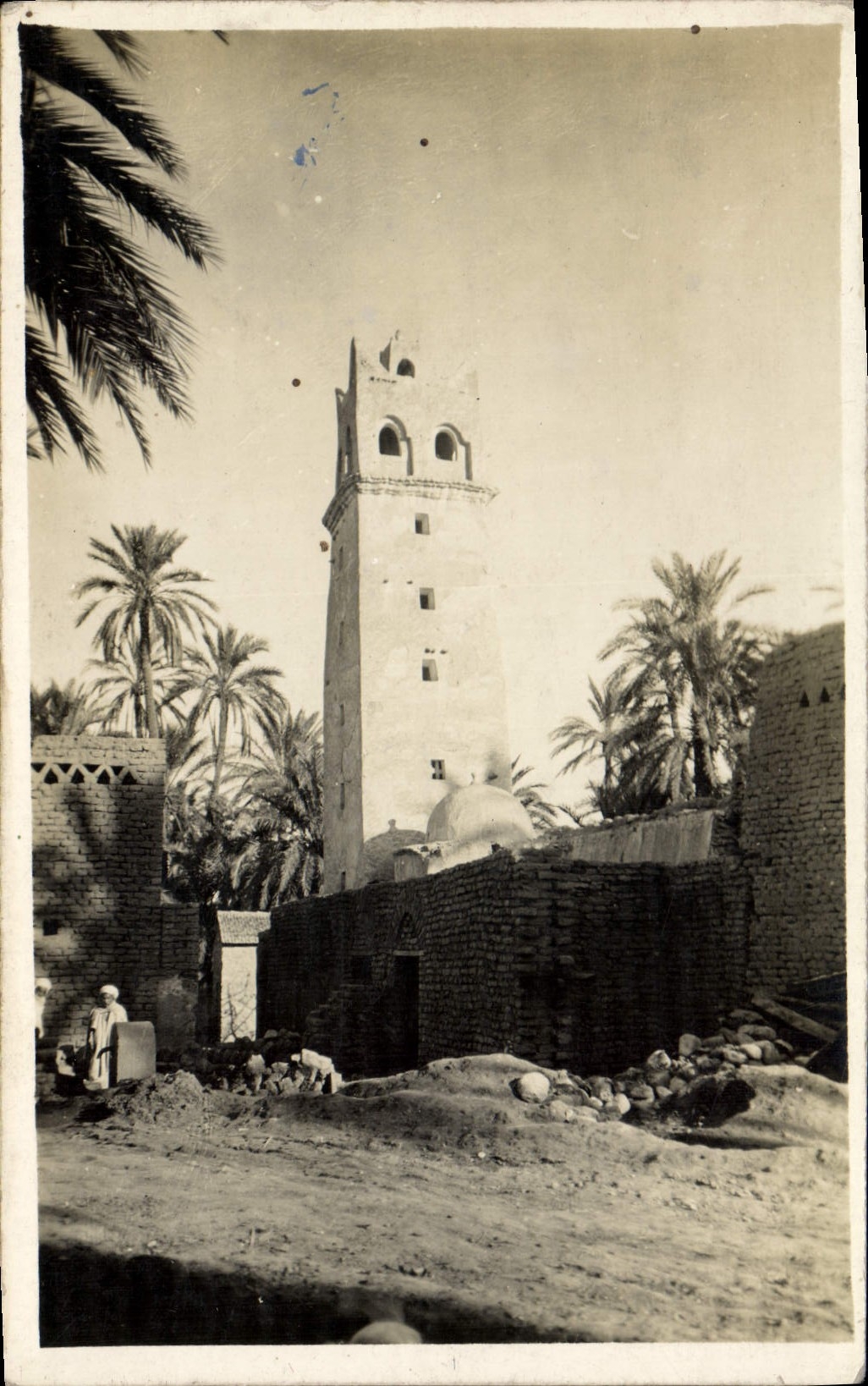 CPA Alger office Algerien D'Action Economique vues d'algérie