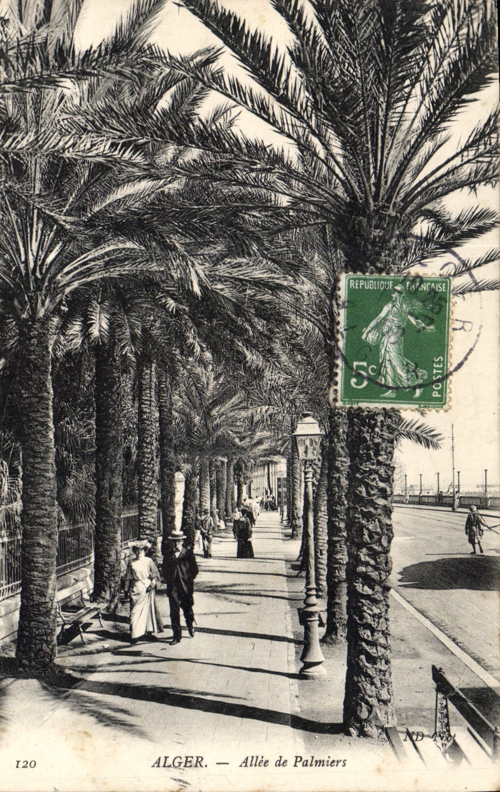 CPA Alger Allee De Palmiers