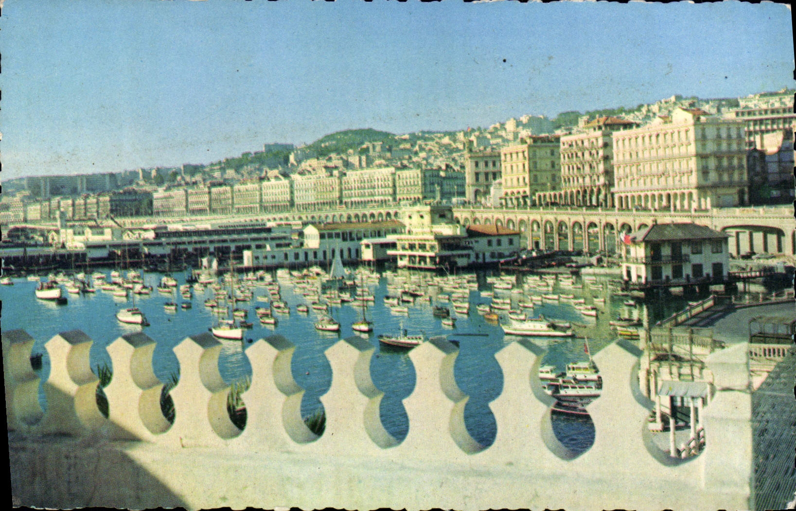 CPA Alger Le Boulevard De La Republique Pris De I'Amiraute