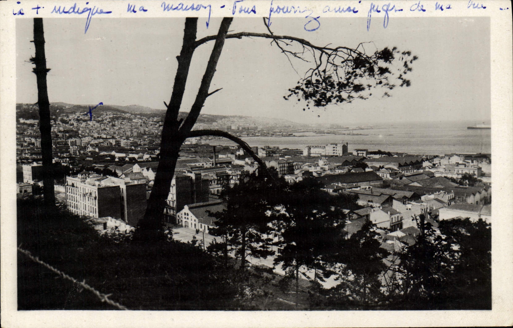 CPA Alger Vue Prise De Mustapha