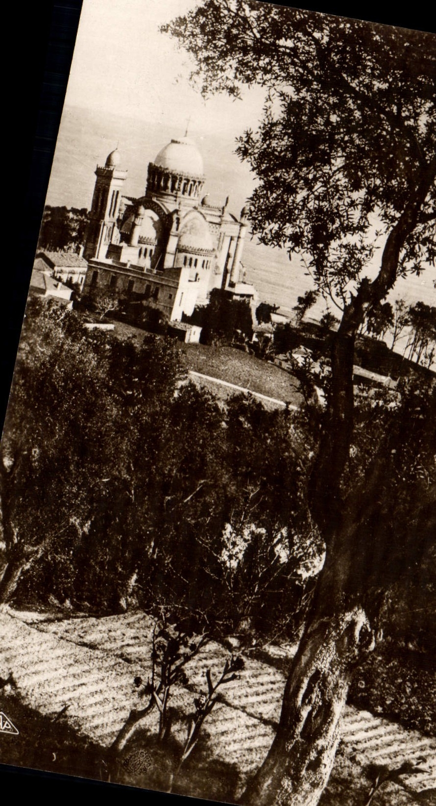 CPA Alger Notre Dame D'Afrique