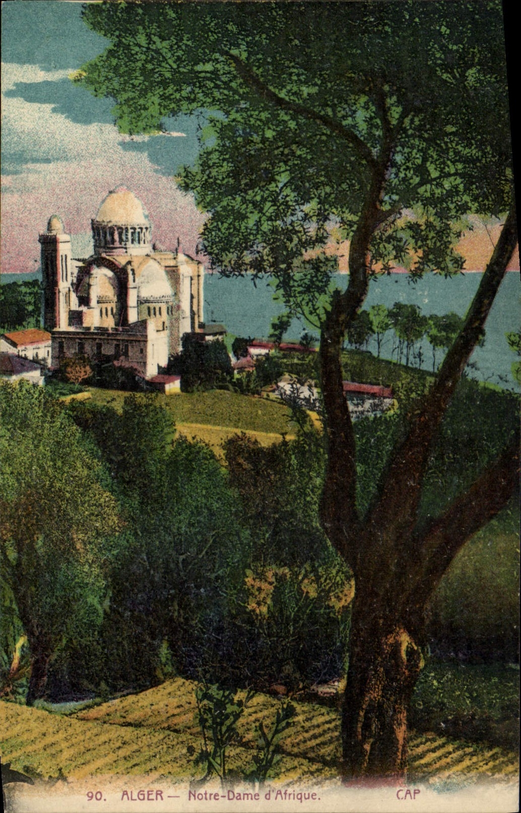 CPA Alger Notre Dame D'Afrique