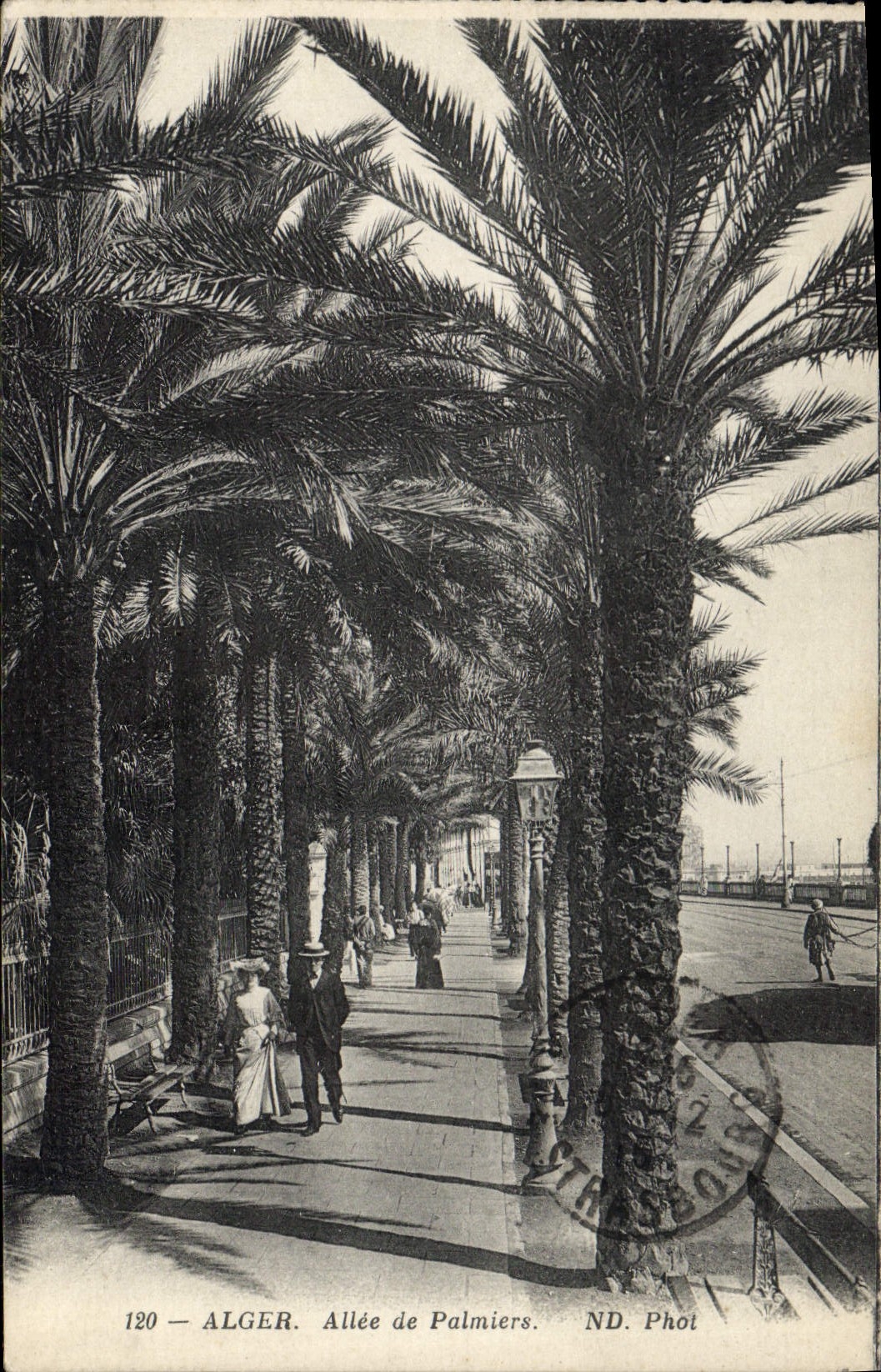 CPA Alger Allee De Palmiers