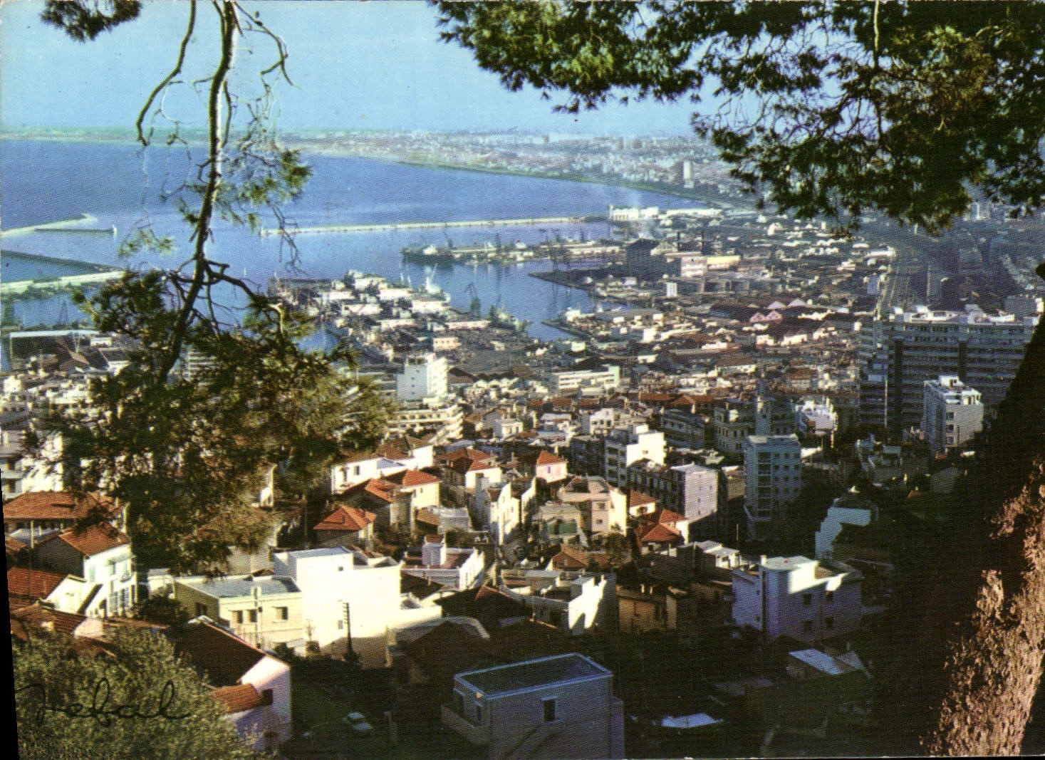 CPA Alger Vue Panoramique
