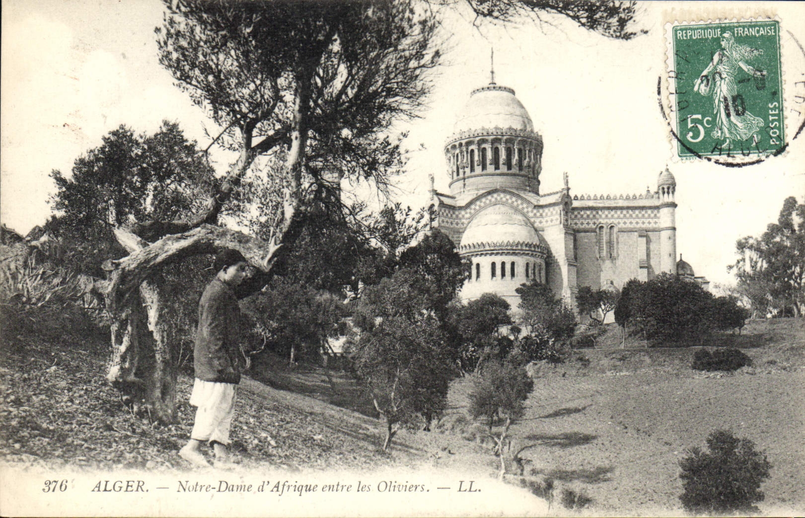 CPA Alger Notre Dame D'Afrique Entre les Oliviers