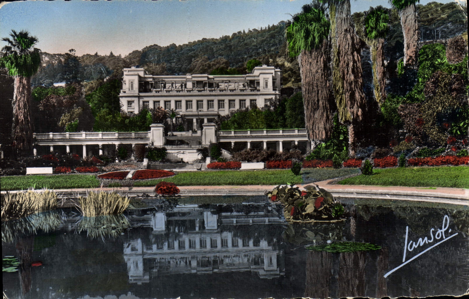 CPA Alger Jardin D'Essais Et Musee National