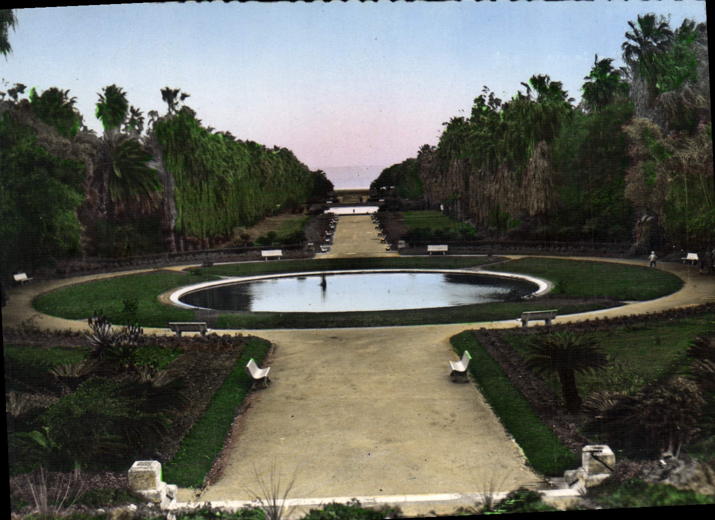 CPA Alger Jardin D'Essai