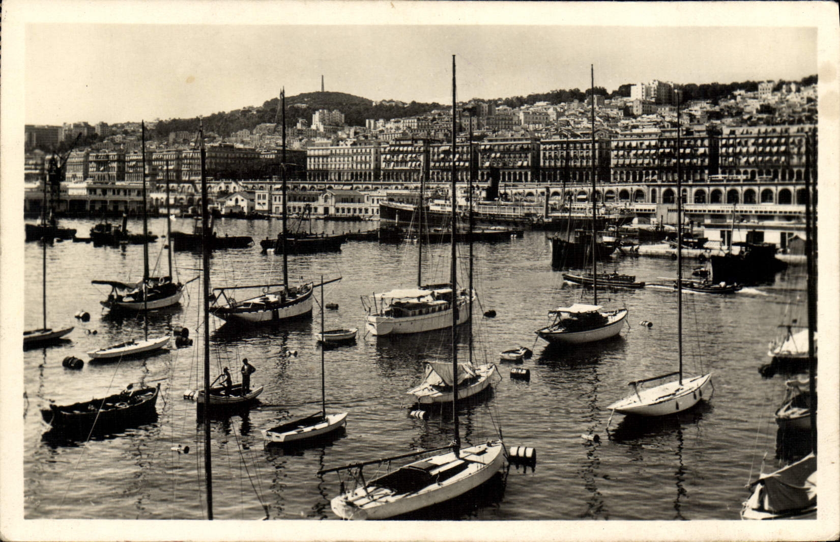 CPA Alger Boulevard De la république Et Carnot