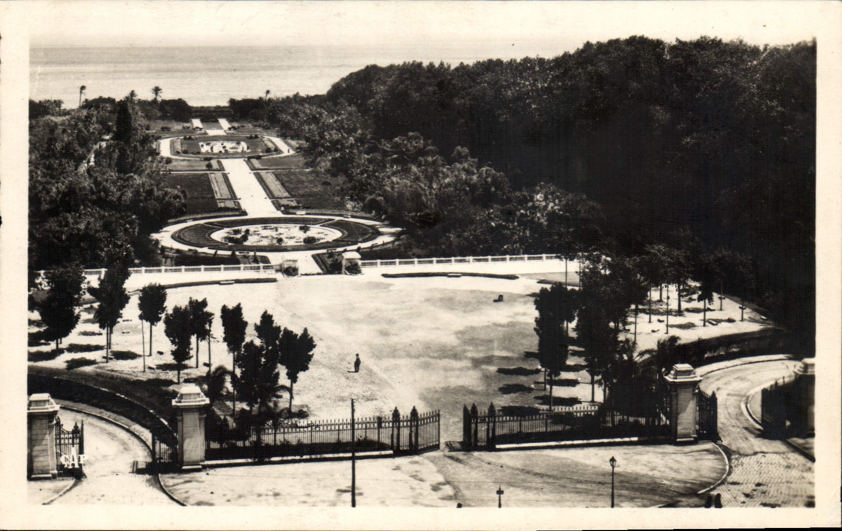 CPA Alger Jardin D'Essai