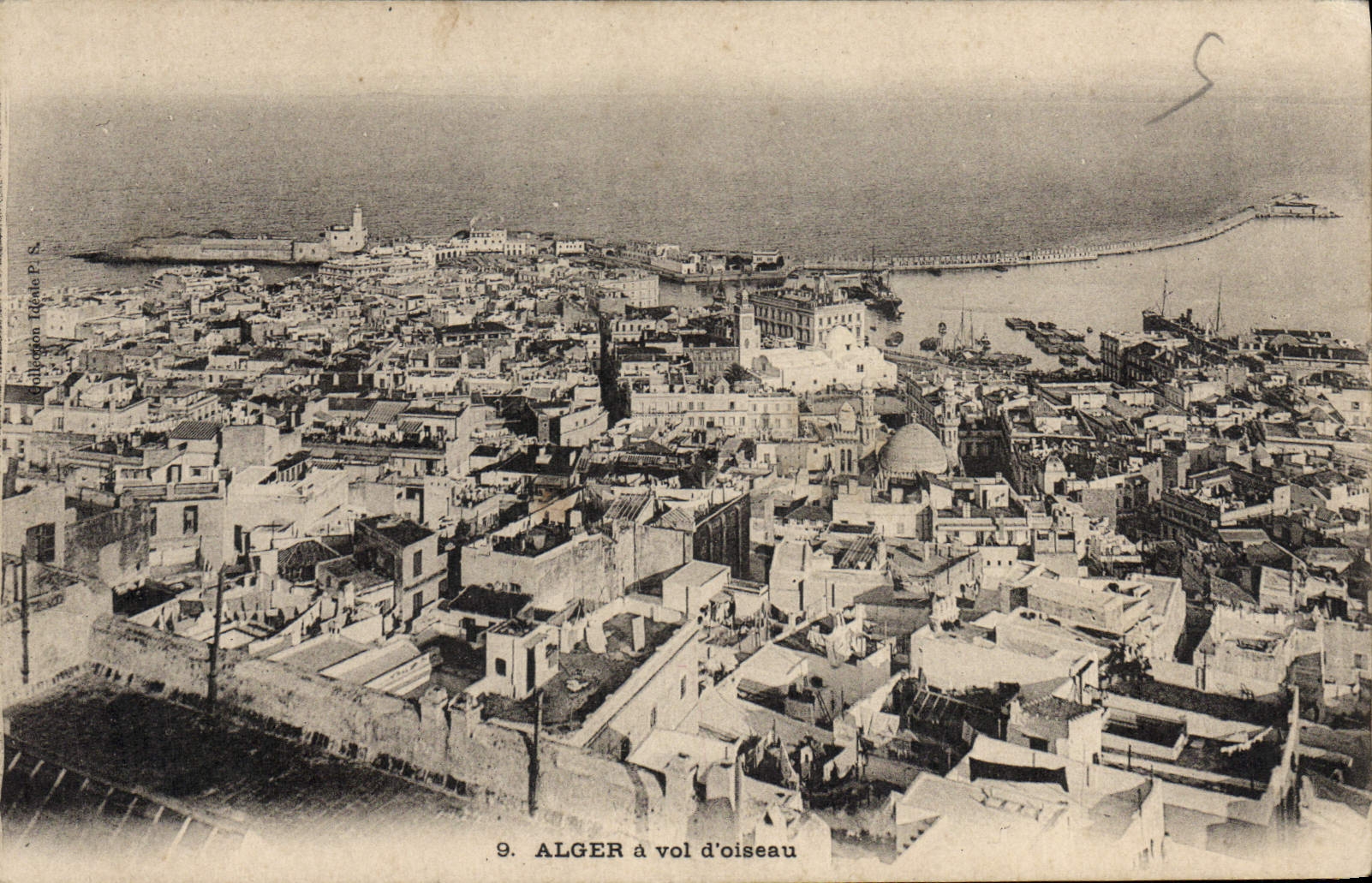 CPA Alger A Vol D'Oiseau