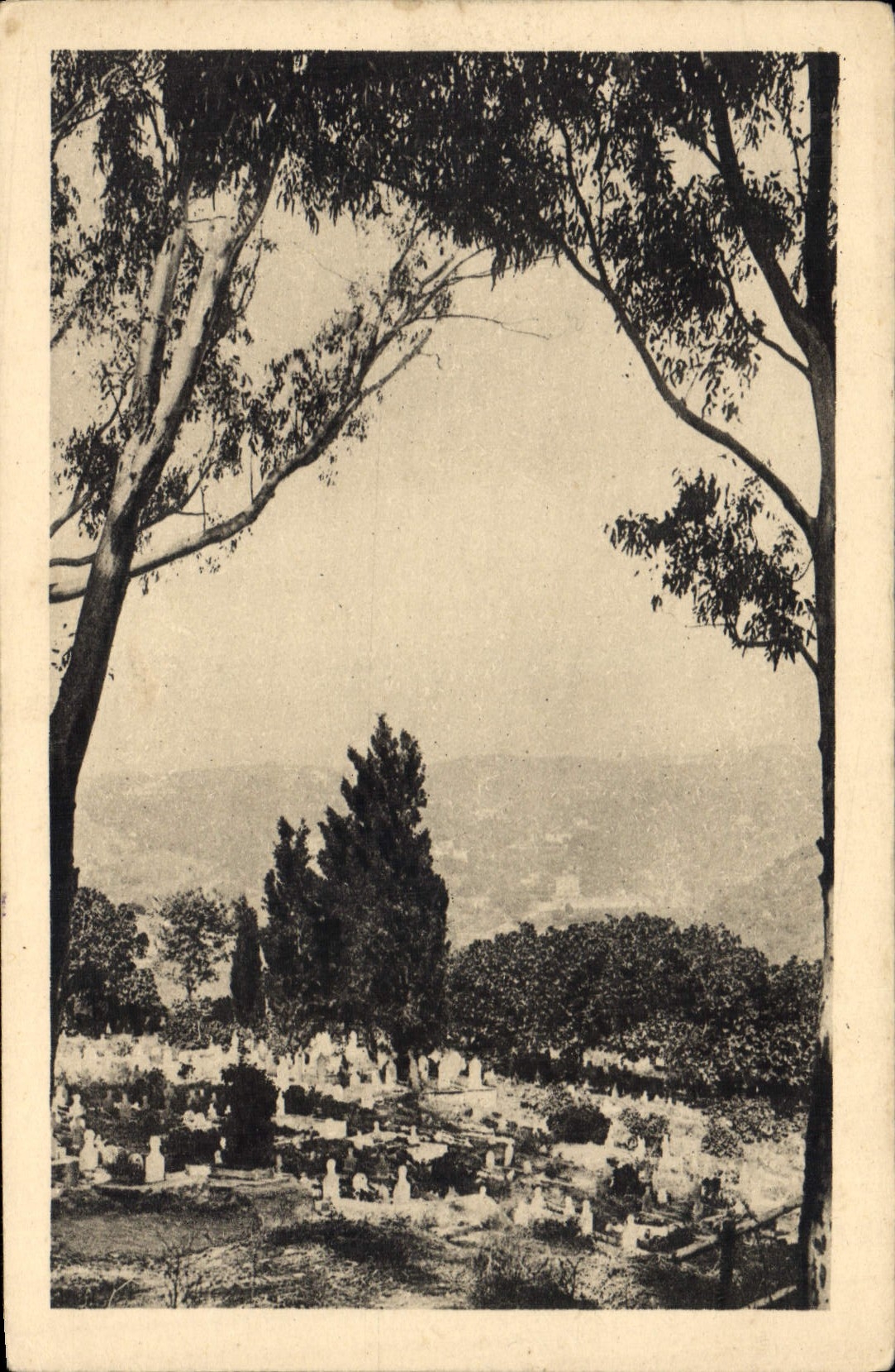 CPA Alger cimetiere indigène d'El-Kettar