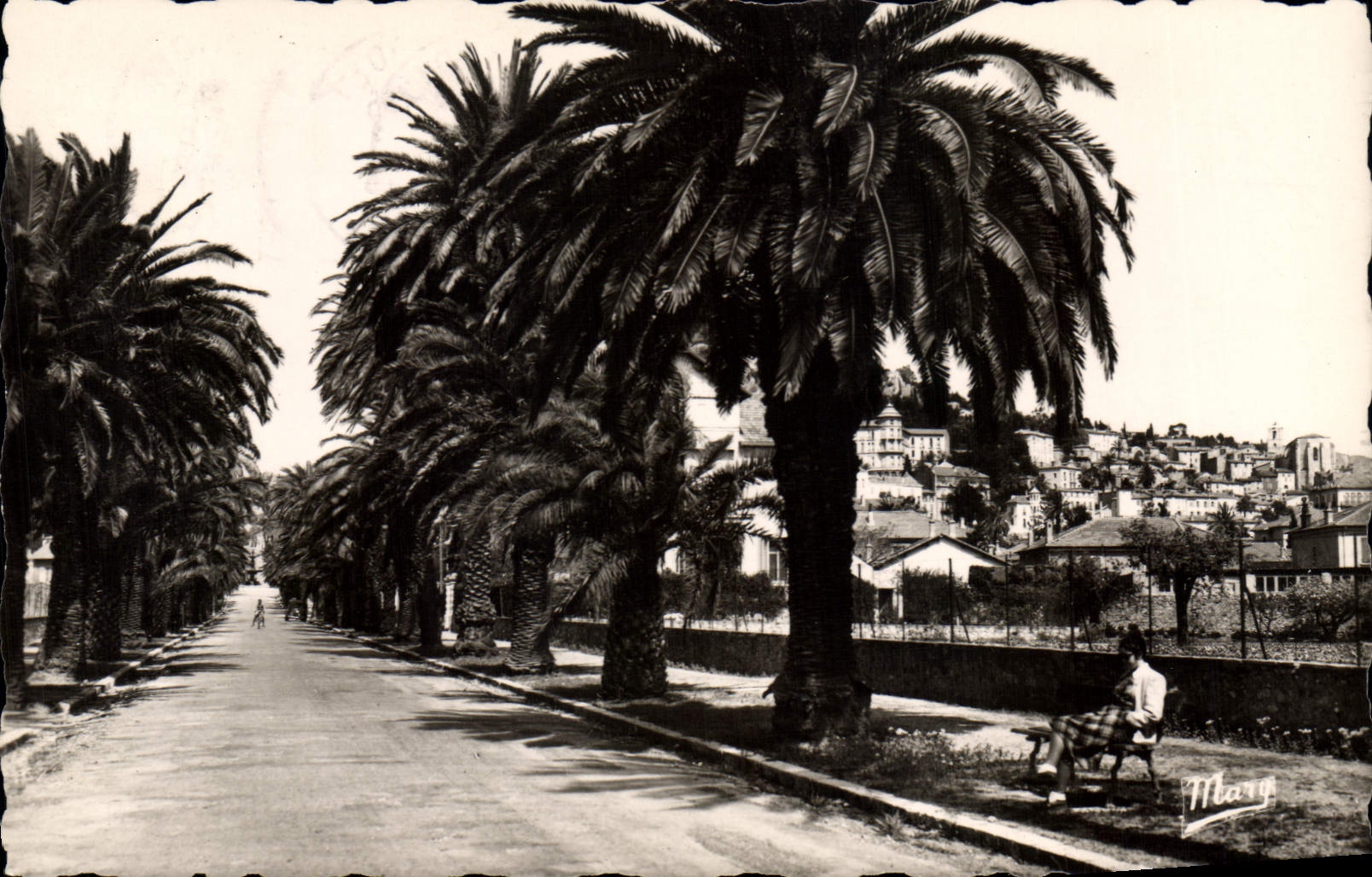 CPA Hyeres Les Palmiers Avenue Godillot