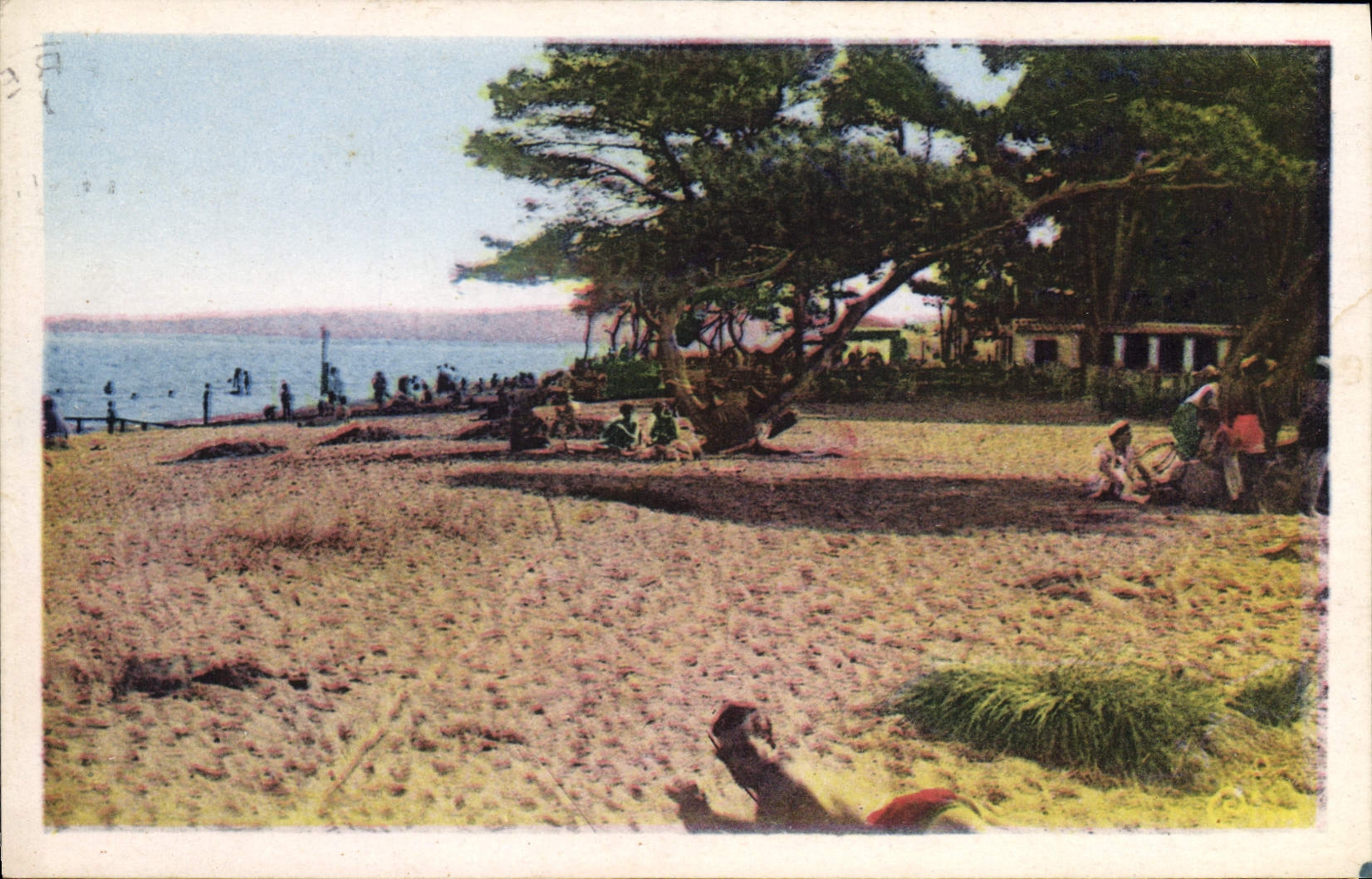 CPA Hyeres Les Palmiers Plage Et La Potiniere