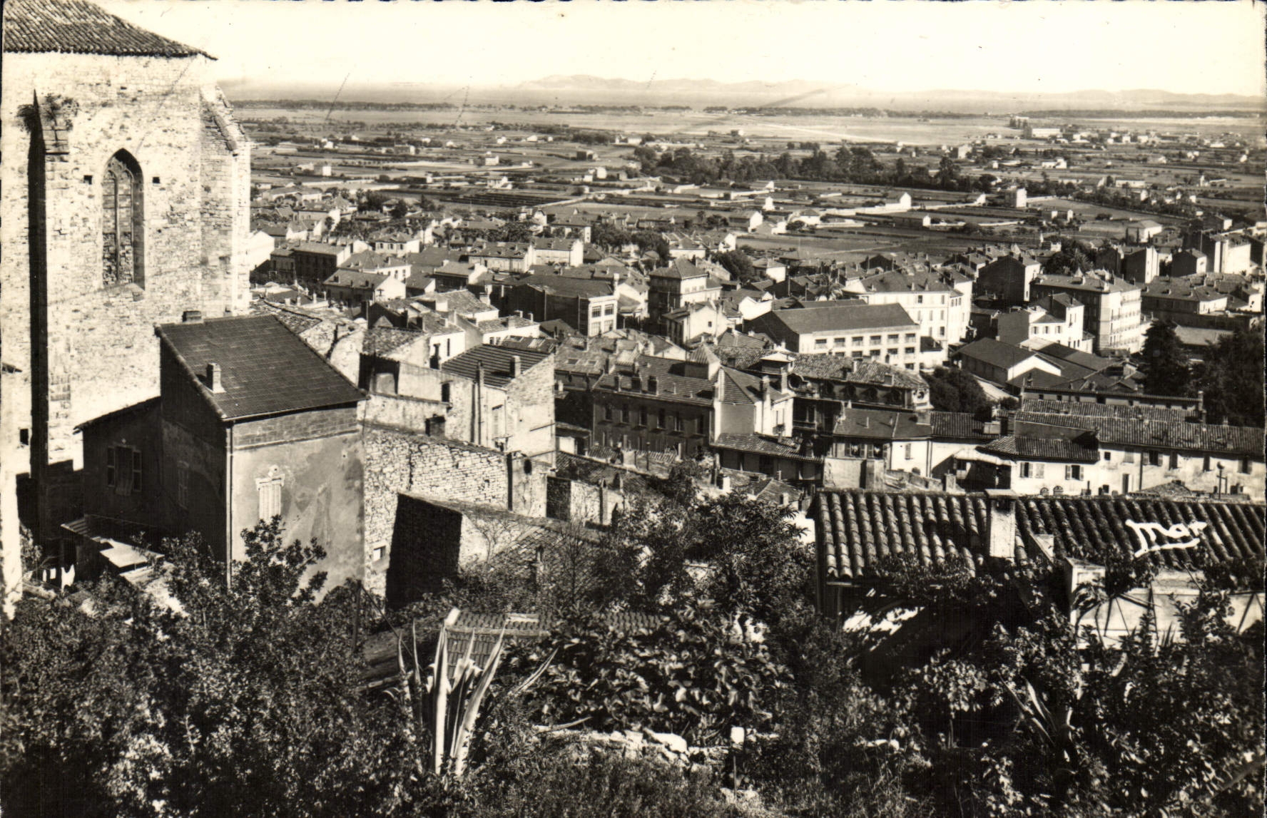 CPSM Hyeres Les Palmiers Vue Generale