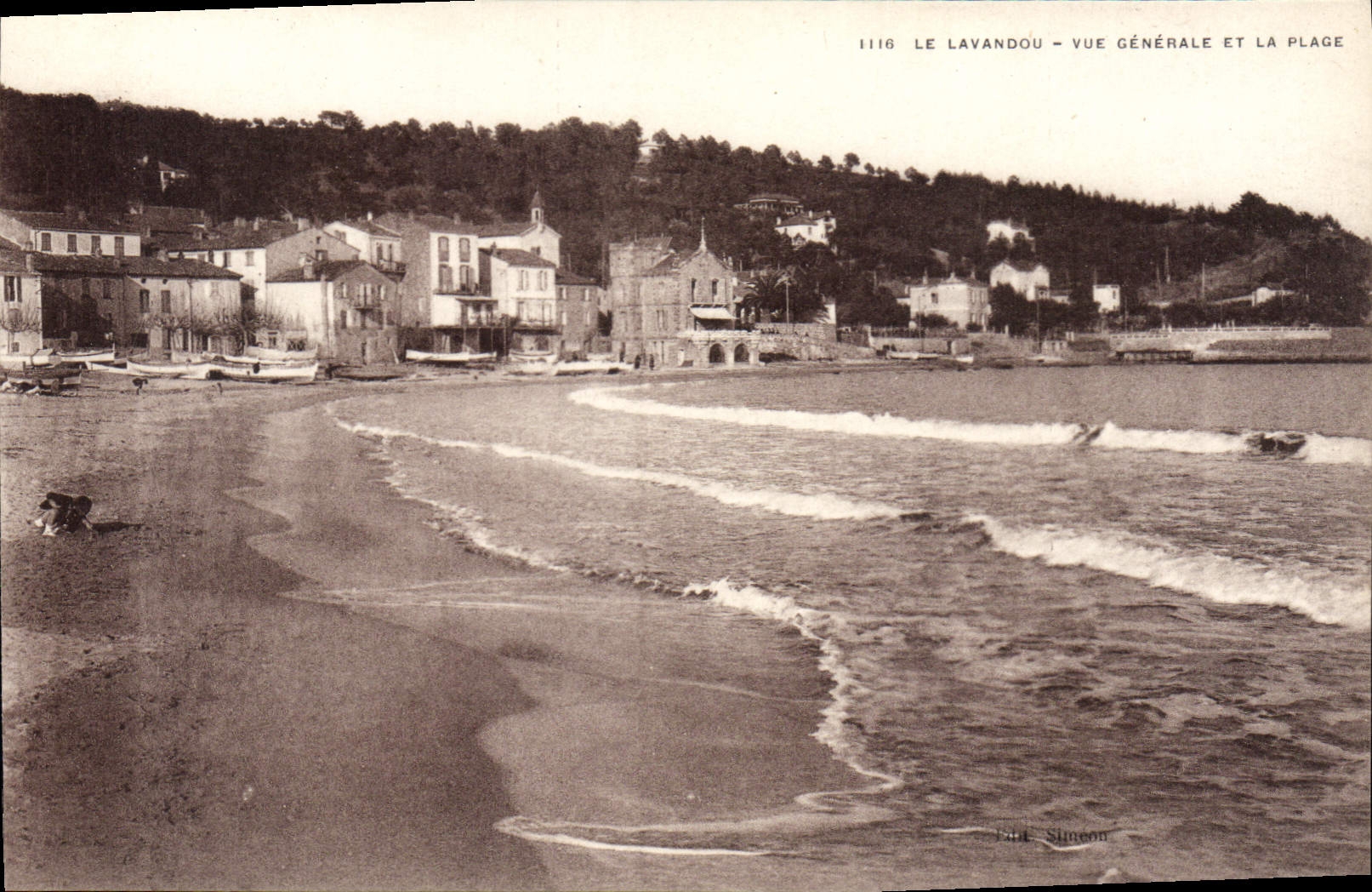 CPA Lavandou Vue Generale Et la Plage