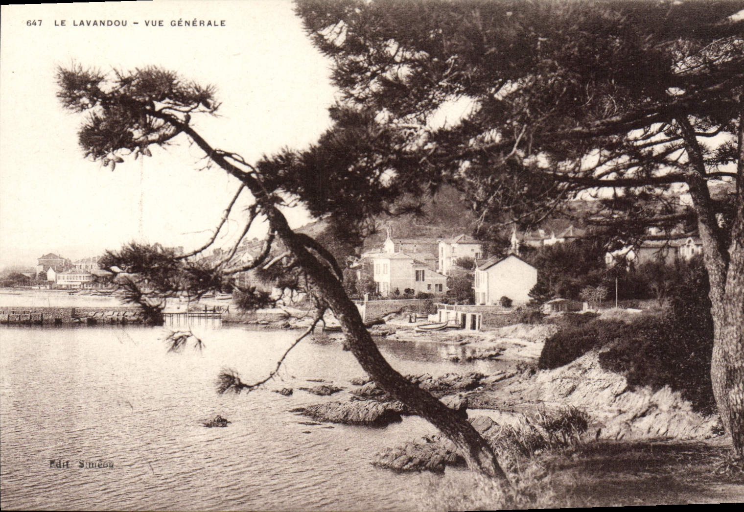 CPA Le Lavandou Vue Generale