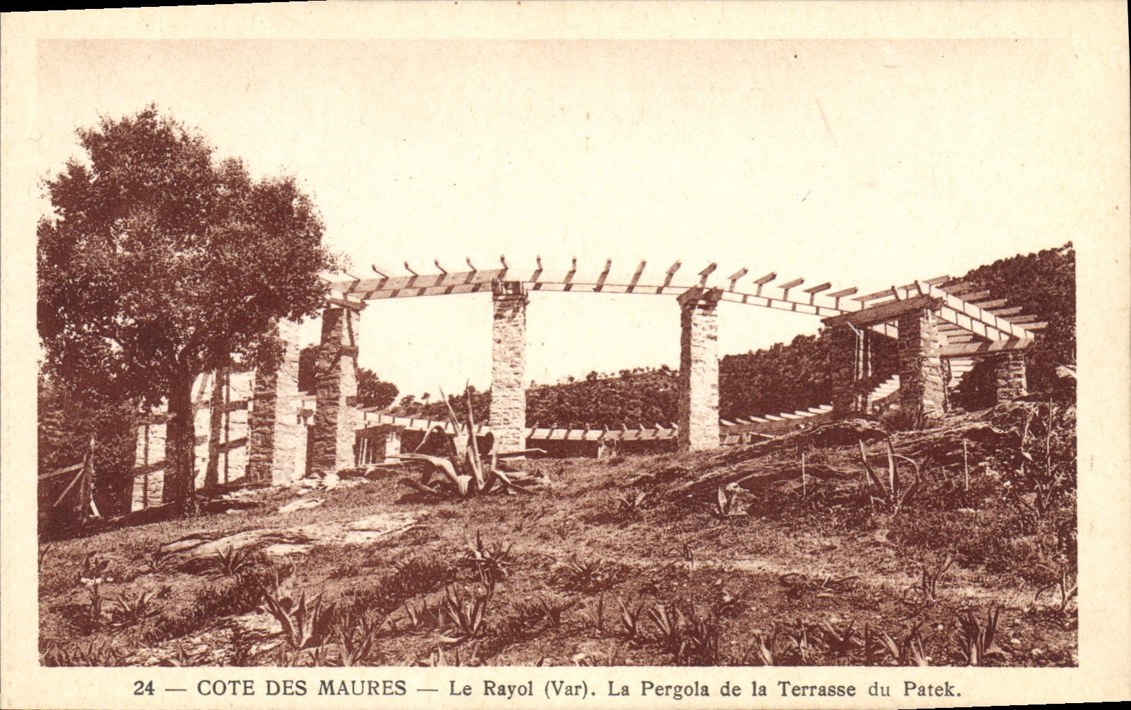 CPA Le Rayol La Pergola De La Terrasse du Patek
