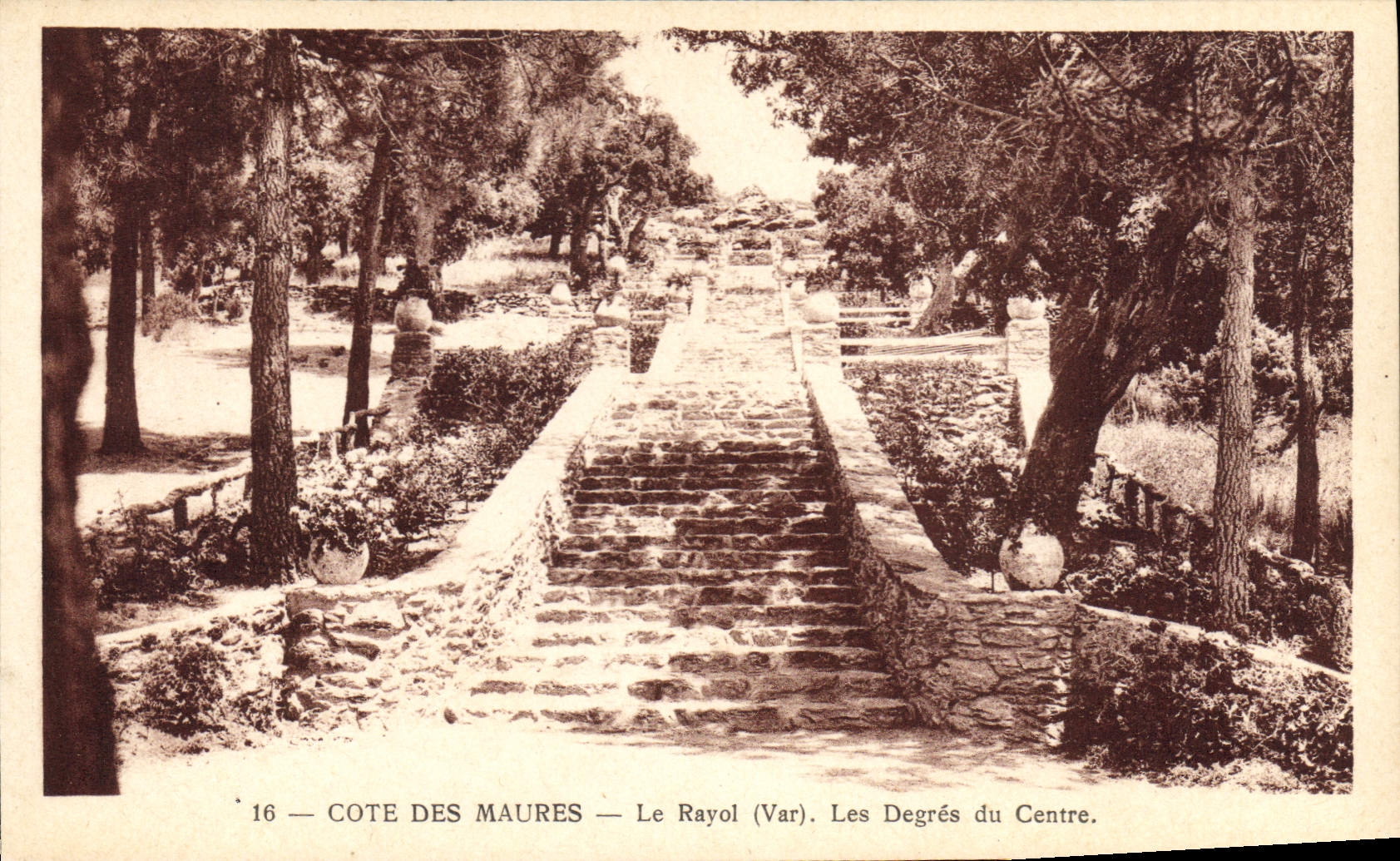 CPA Le Rayol Les Degres Du Centre