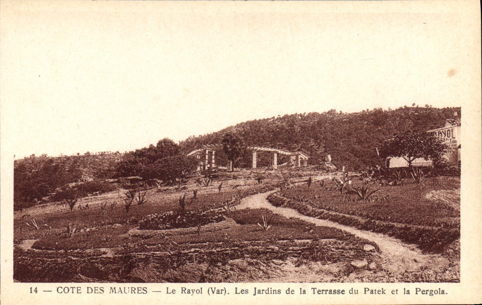 CPA Le Rayol Les Jardins De La Terrasse Du Patek Et La Pergola