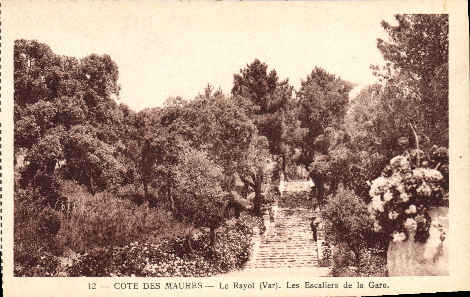 CPA Le Rayol Les Escaliers De La Gare