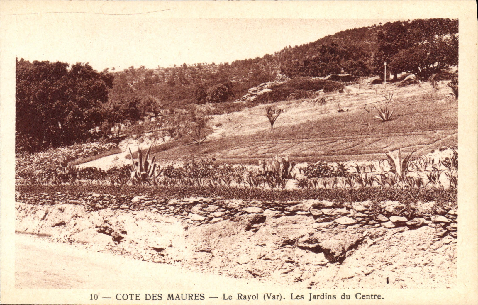 CPA Le Rayol Les Jardins Du Centre