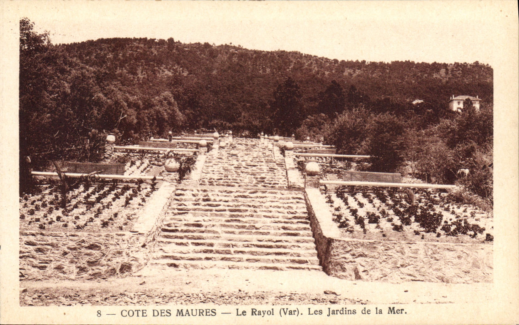 CPA Le Rayol Les Jardins De la Mer