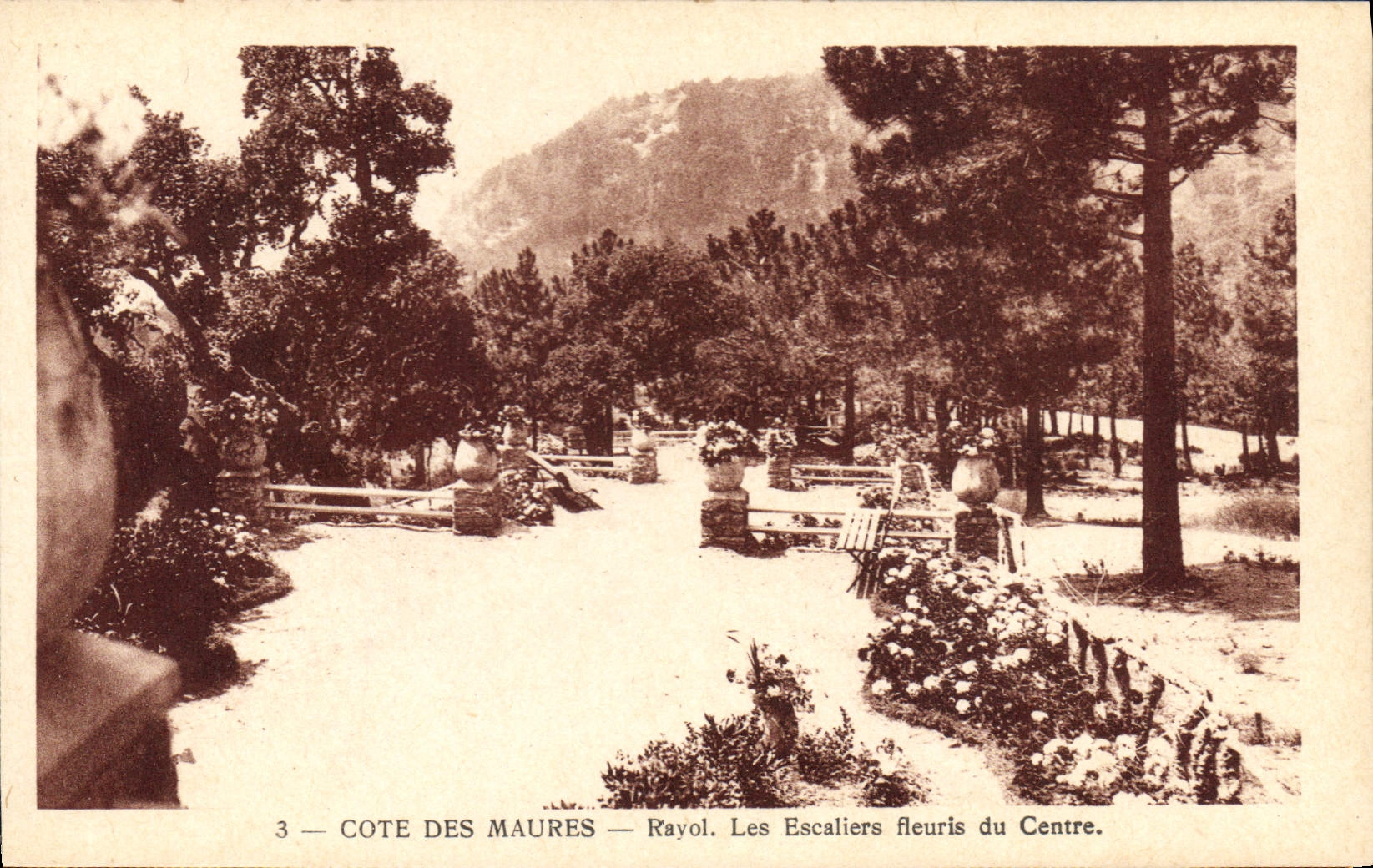 CPA Le Rayol Les Escaliers Fleuris Du Centre