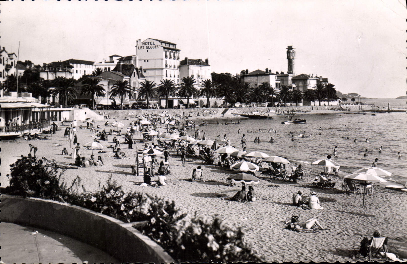 CPA Saint Raphael La Plage Fleurie