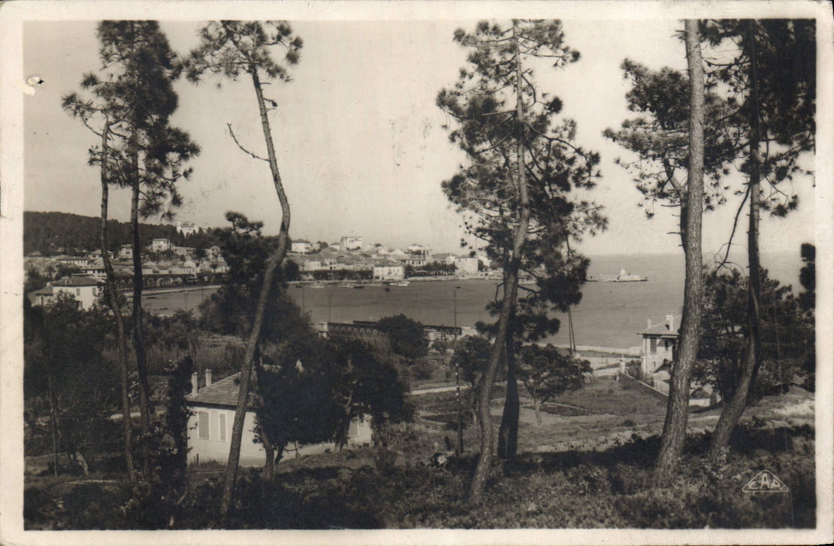 CPA Ste Maxime Sur Mer A Travers Les Pins