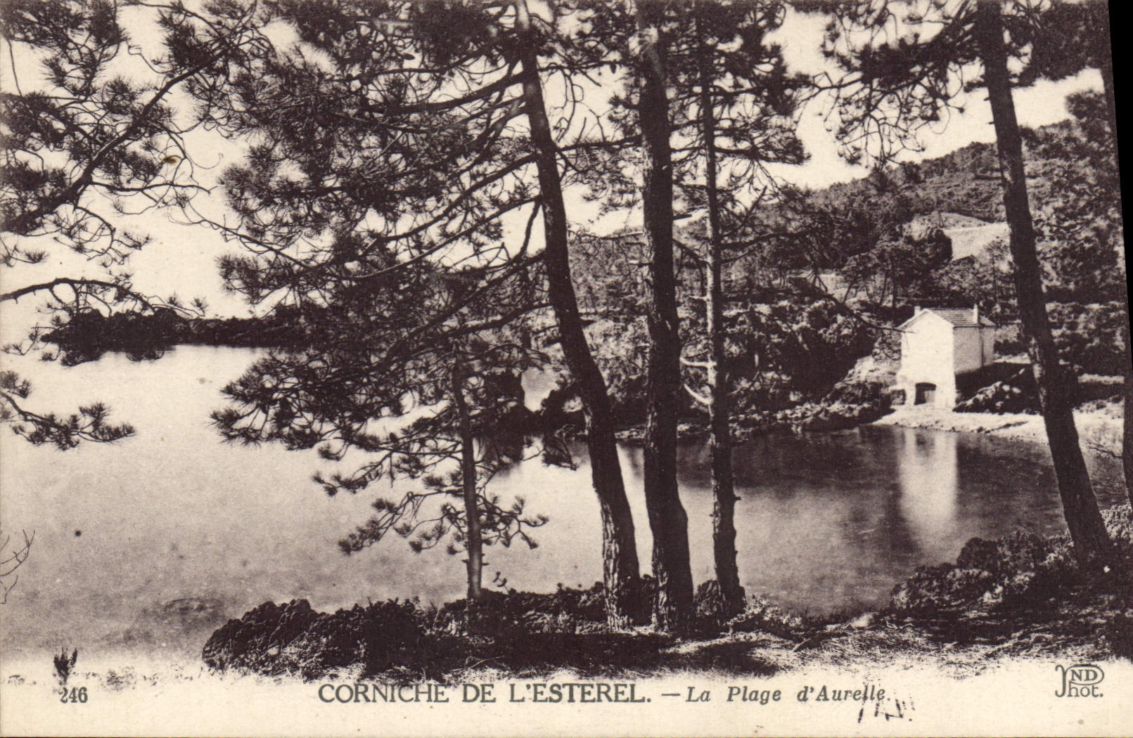CPA Cornichel De L'Esterel La Plage D'Aurelle