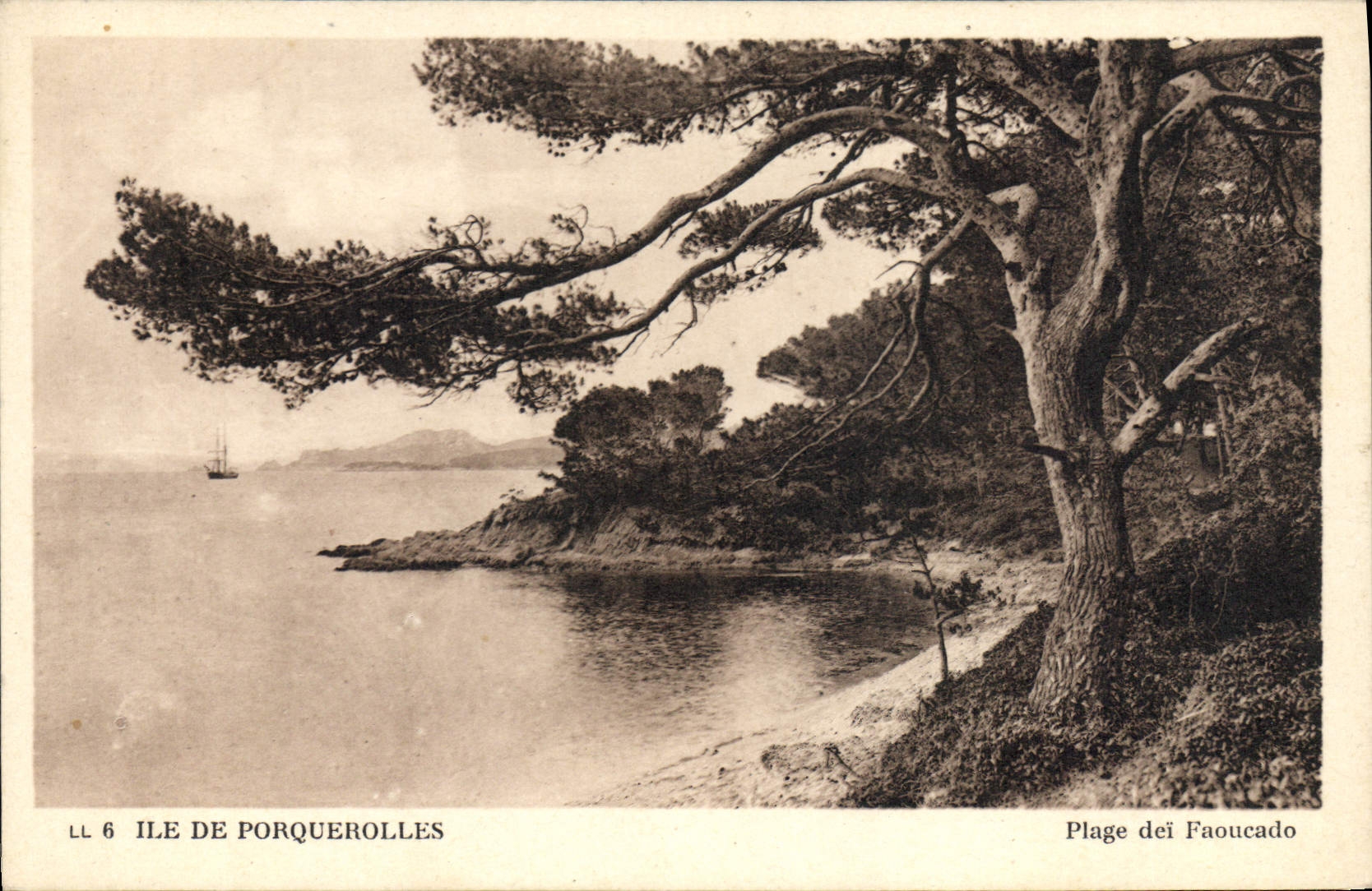 CPA Ile De Porquerolles Plage Deï Faoucado