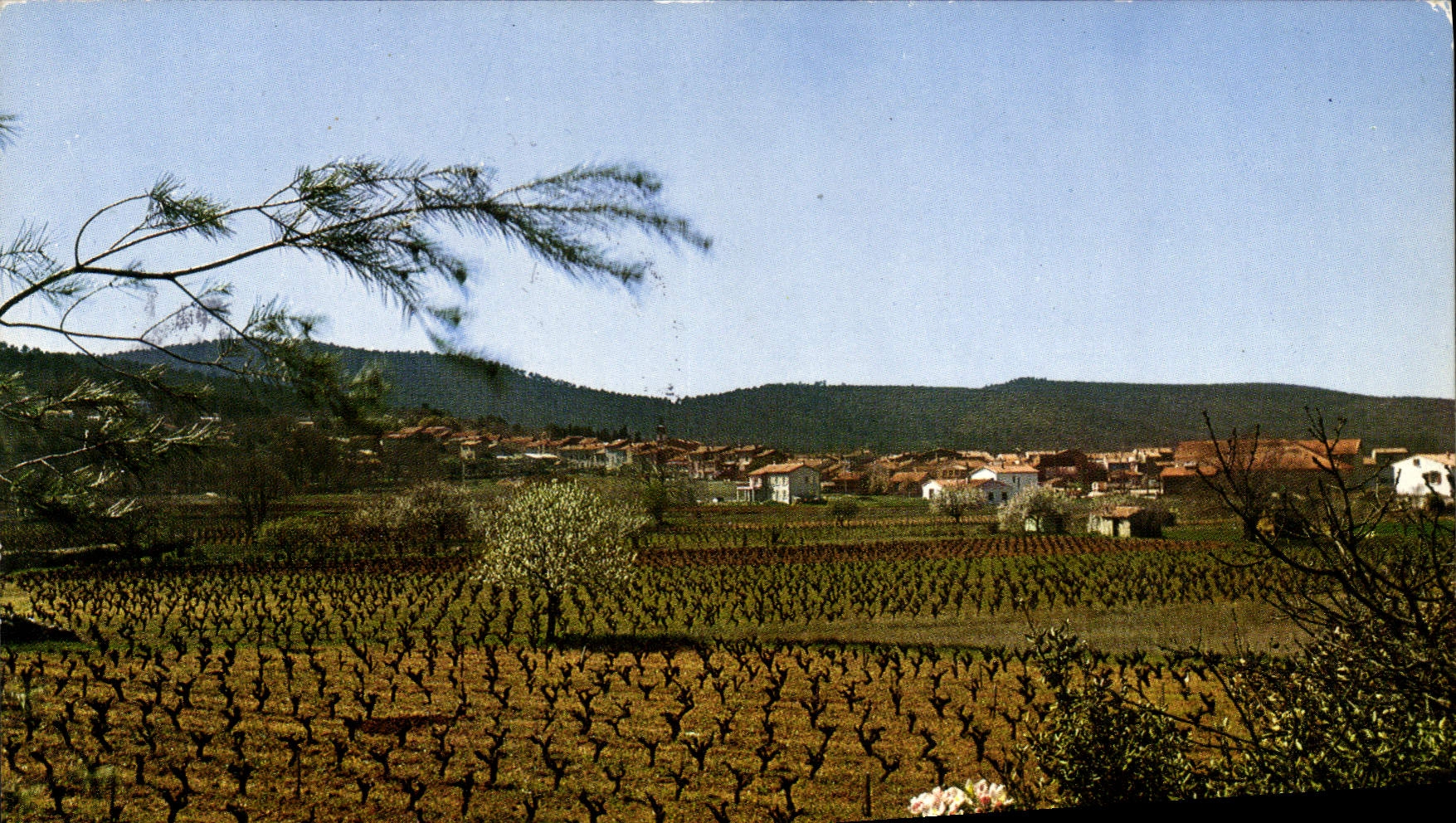 CPSM Nans Les Pins Vue Generale