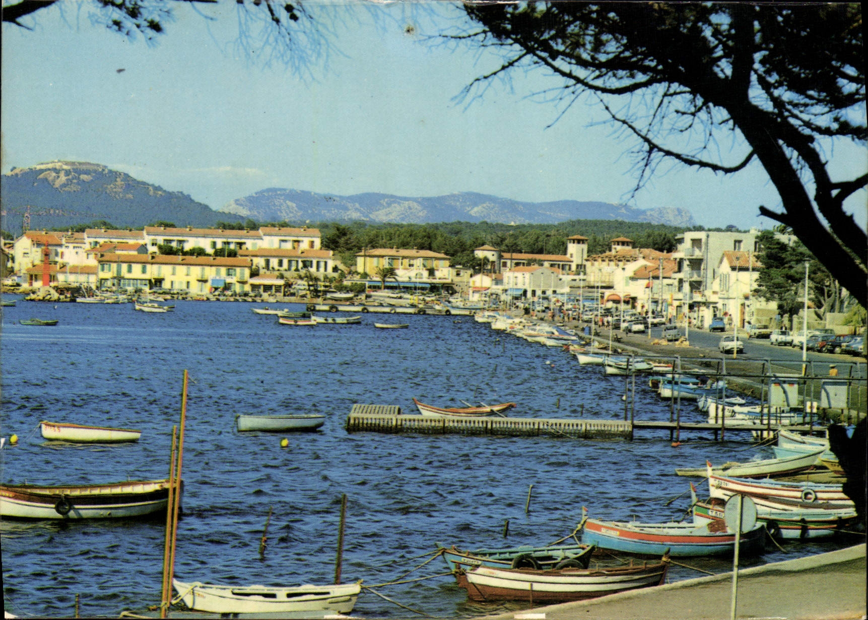 CPSM Le Brusc Vue Generale