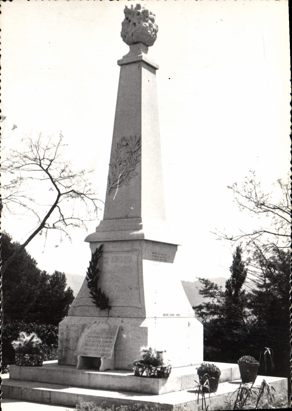 CPSM La Cadiere D'Azur Monument Aux Morts
