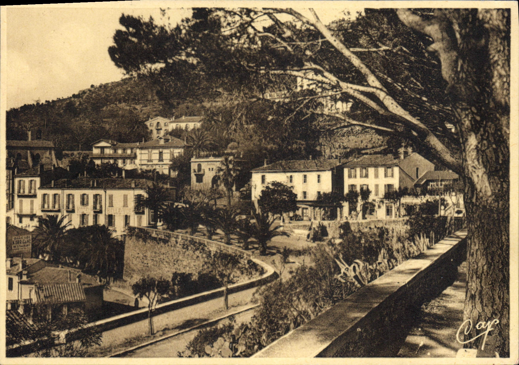 CPSM Bormes Les Mimosas Les Hotels