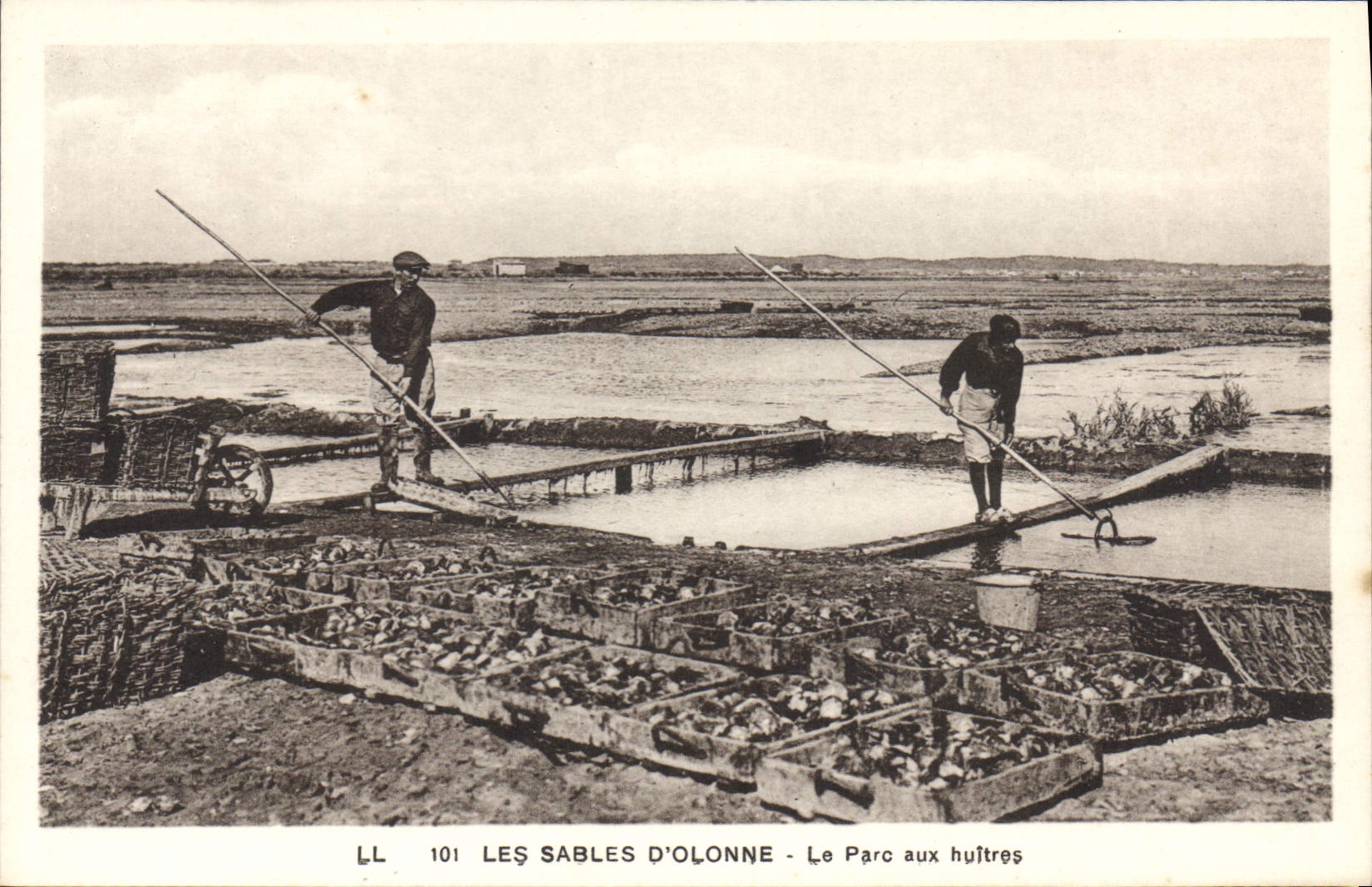 CPA Sables D'Olonne Le Parc Aux Huitres
