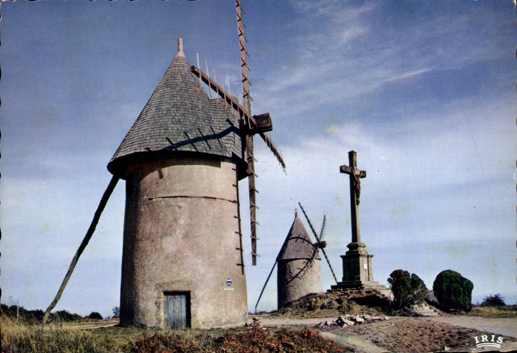CPSM Bocage Vendeen Le Mont Des Alouettes moulins