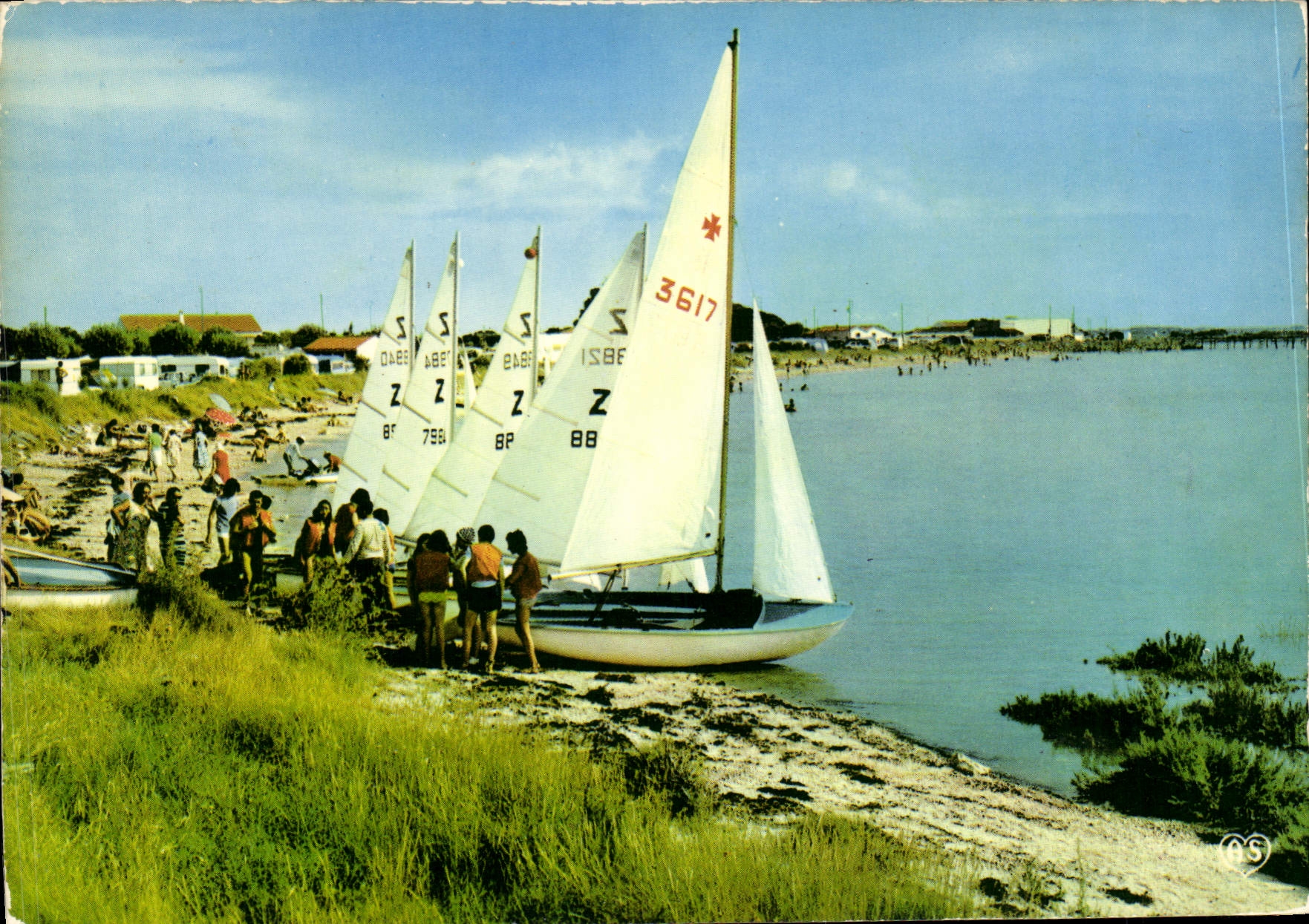 CPSM Fouras La Flotte Des Voiliers Du Village PTT