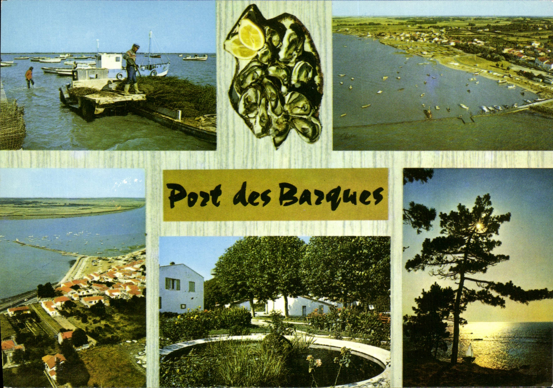 CPSM Port Des Barques Le Port Vue Generale