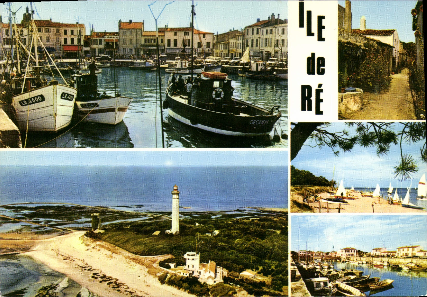 CPSM I'Ile De Re Le Port De La Flotte