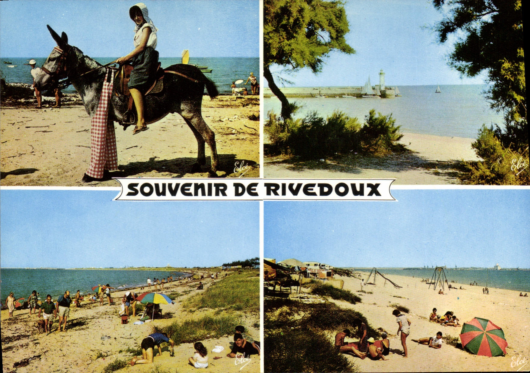 CPSM Rivedoux L'Ane En Culotte