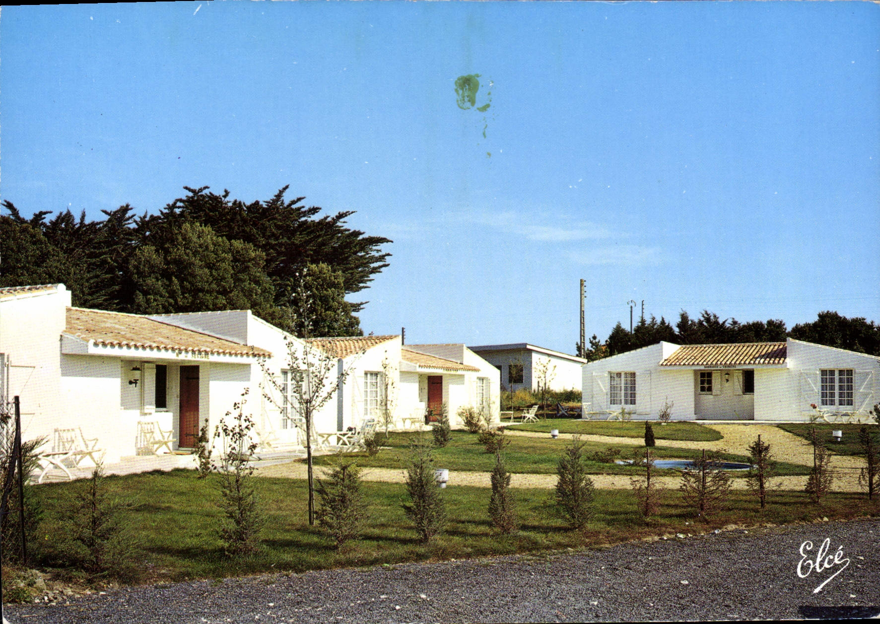 CPSM Ile De Re La Flotte Le Richelieu Hotel Restaurant Tourisme