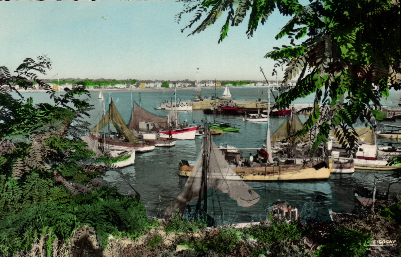 CPA Royan Le Port