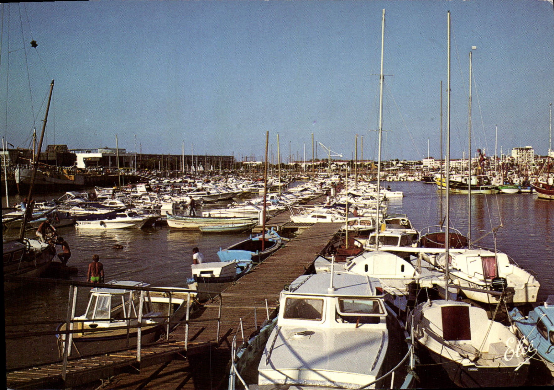 CPSM Royan Le Nouveau Port De Plaisance
